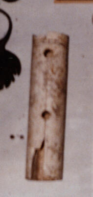 M_371