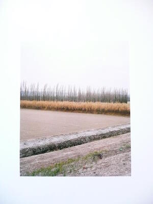 [VIDE]