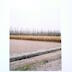 Paysage agricole